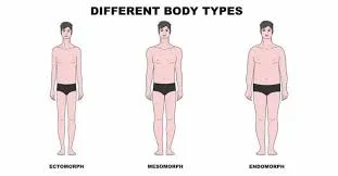 Body types