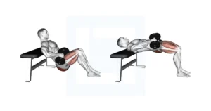 Dumbbell Hip Thrust