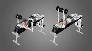 Dumbbell bench press