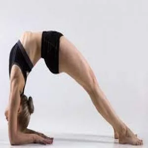 Dvpada dhanurasana or bridge bow pose