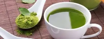 Green tea for weight loss