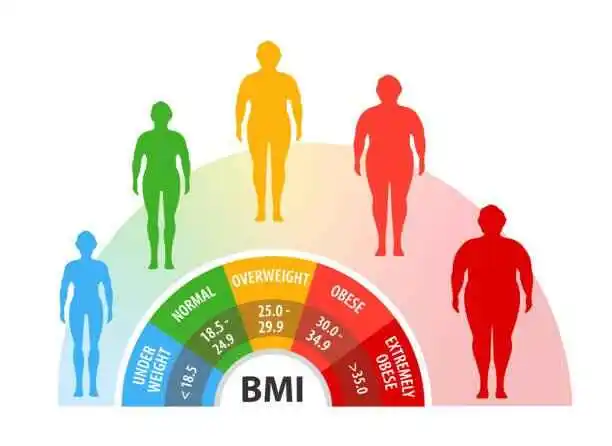 Obesity-Body-Mass-Index(BMI)