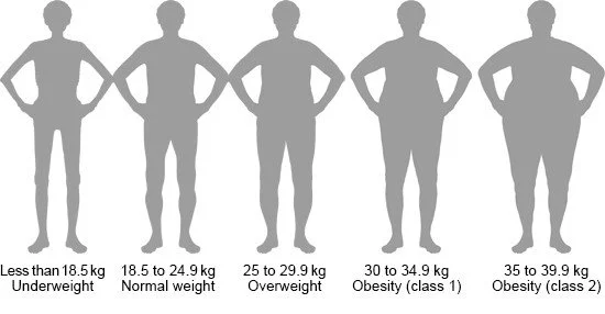 Obesity-Classes