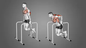 Parallel Bar Dip