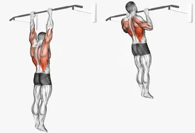 Pull-ups