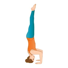 Salamba Sirsasana II – Tripod Headstand