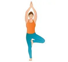 Vrksasana (tree pose)