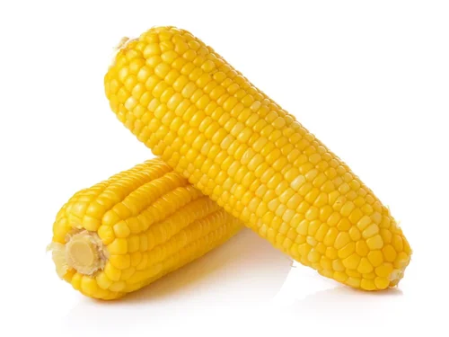 corn