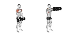 dumbbell front raise