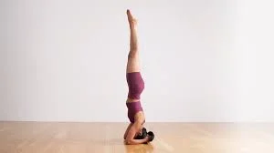 Salamba Sirsasana I – Supported Headstand