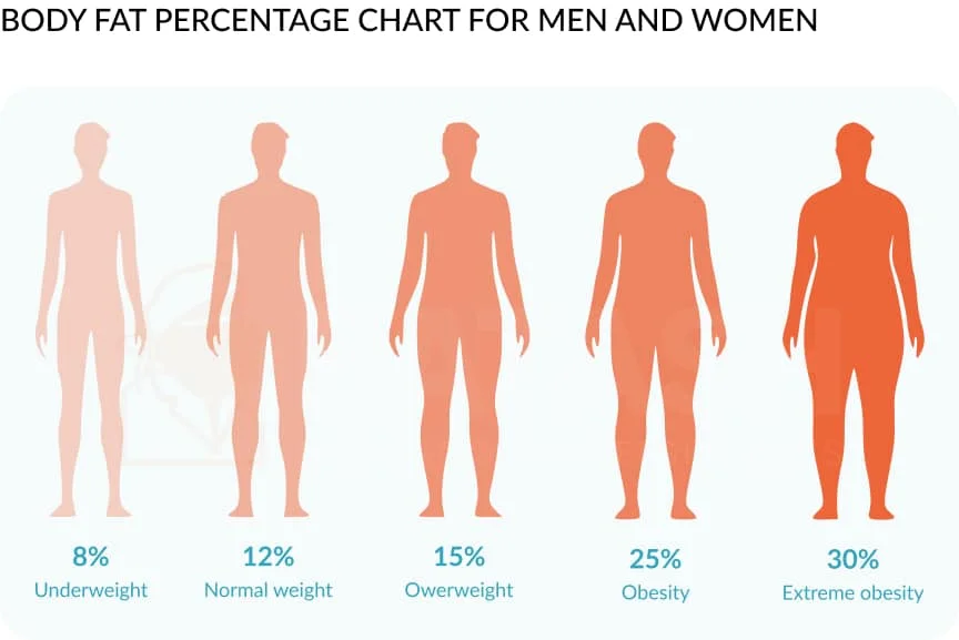 Body Fat Percentage