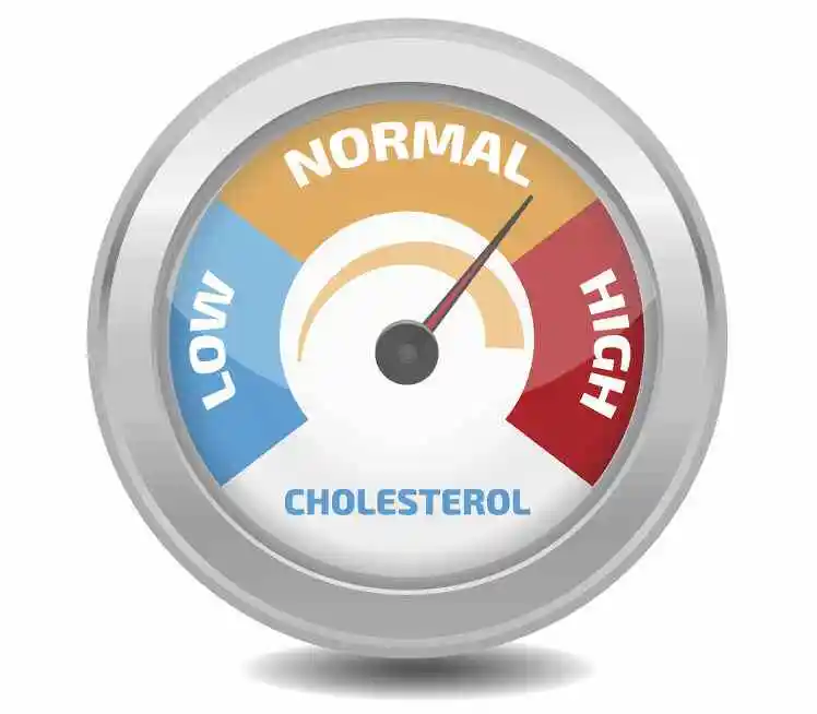 Cholesterol