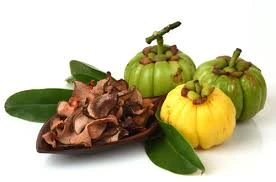 Garcinia cambogia