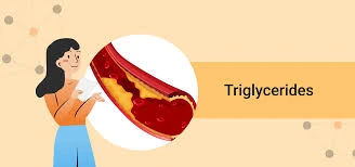 Triglycerides