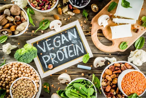 Vegan Protein