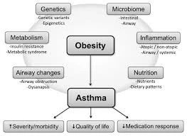 Obesity and Asthma