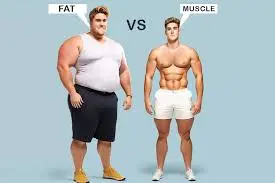 Muscle-vs-fat