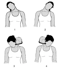 neck roll exercise