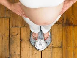 obesity in pregnancy