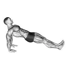 Reverse Plank