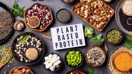 Plant-based protein