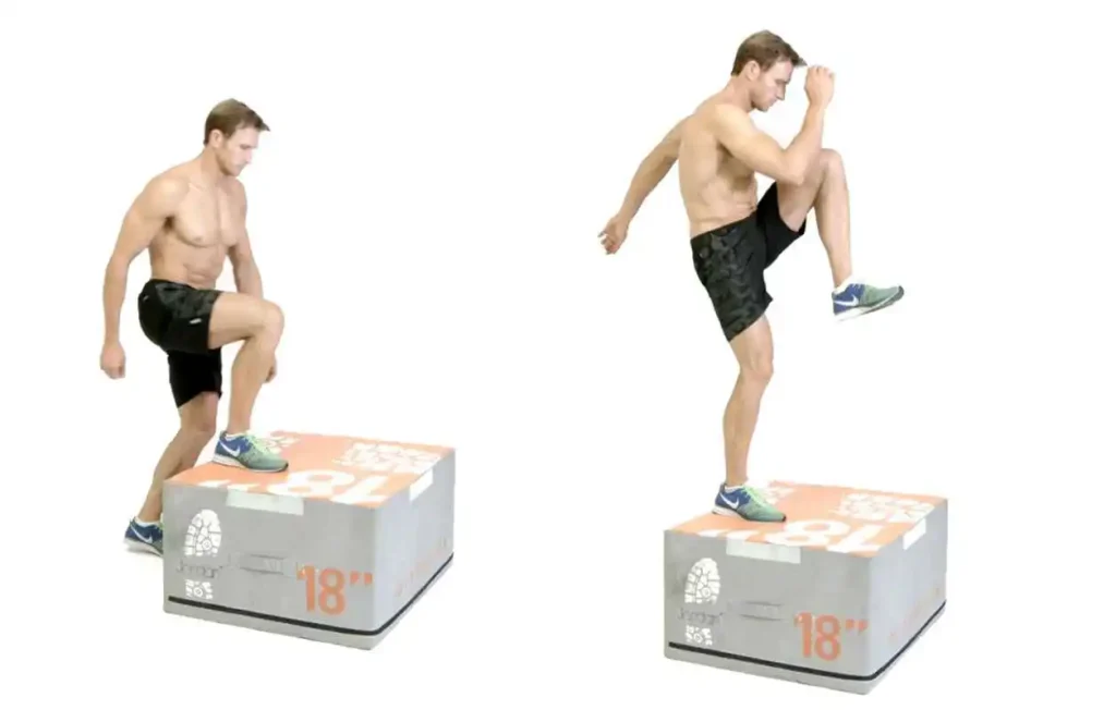 Step-Up-With-Knee-Raise