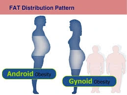 android obesity