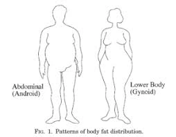 gynoid obesity