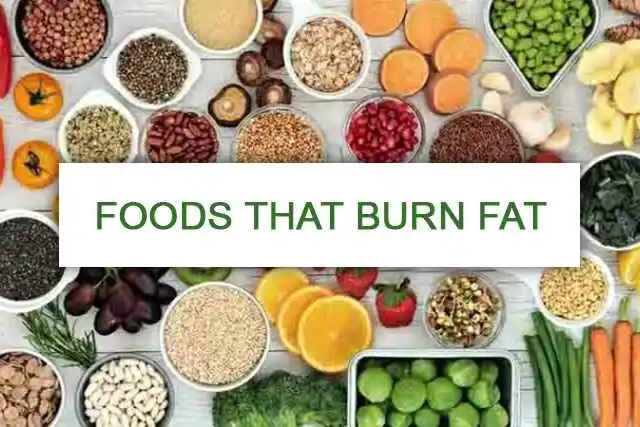 foods-that-burn-fat-at-night