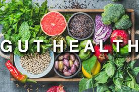 how to improve gut health