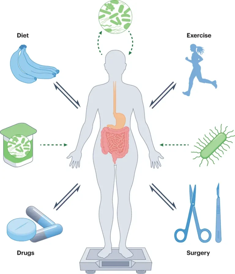 role of gut bacteria in weight loss