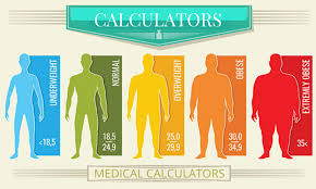 How to calculate basal metabolic rate